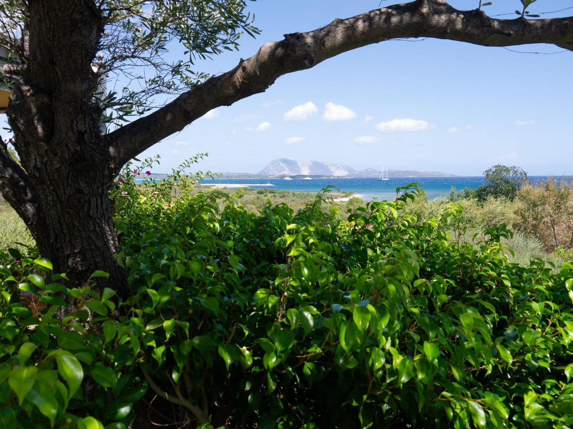 Villa Minda Lodge & View サン・テオドーロ エクステリア 写真